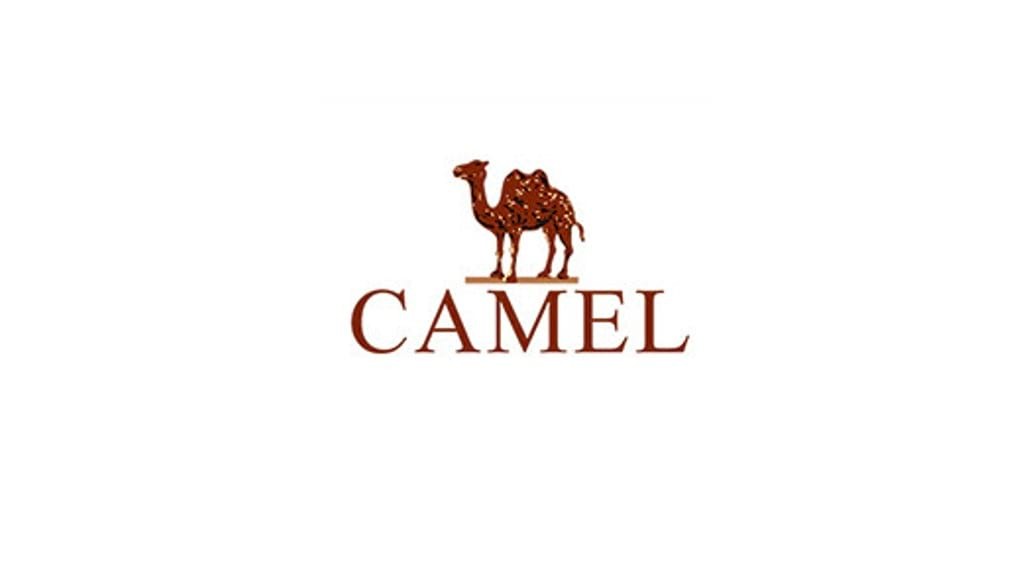 Camel